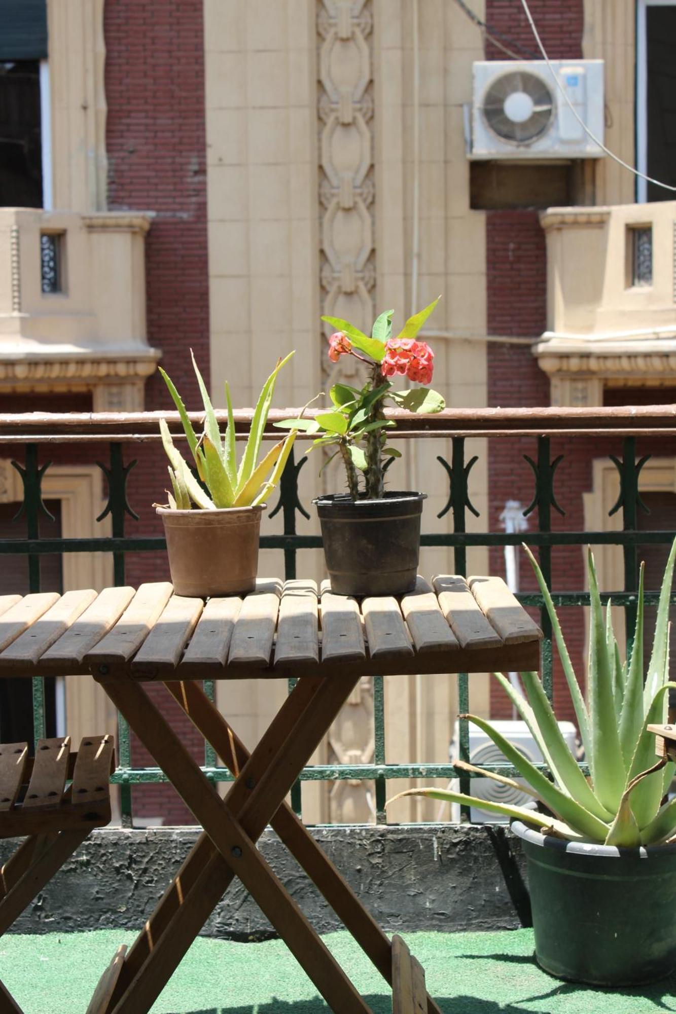 Rhala Hostel Egypt Kairo Exteriör bild